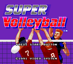 Download Volleyball Game PC
