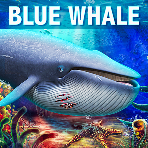 Blue Whale Suicide Game Apk Download